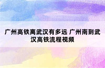 广州高铁离武汉有多远 广州南到武汉高铁流程视频